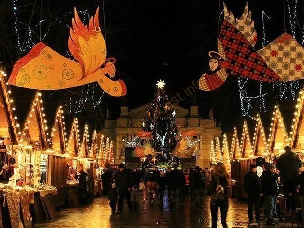 travel program image