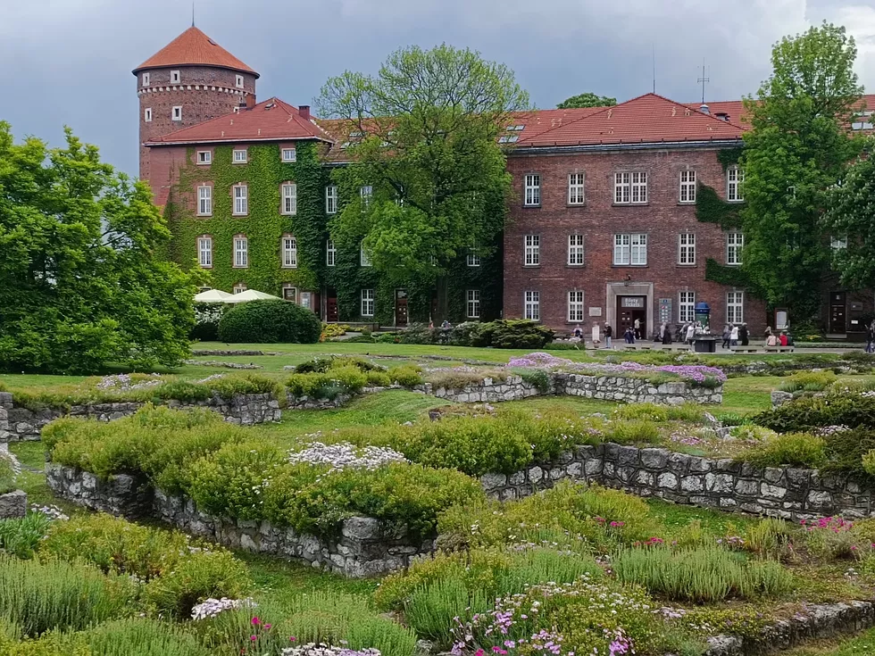 travel program image