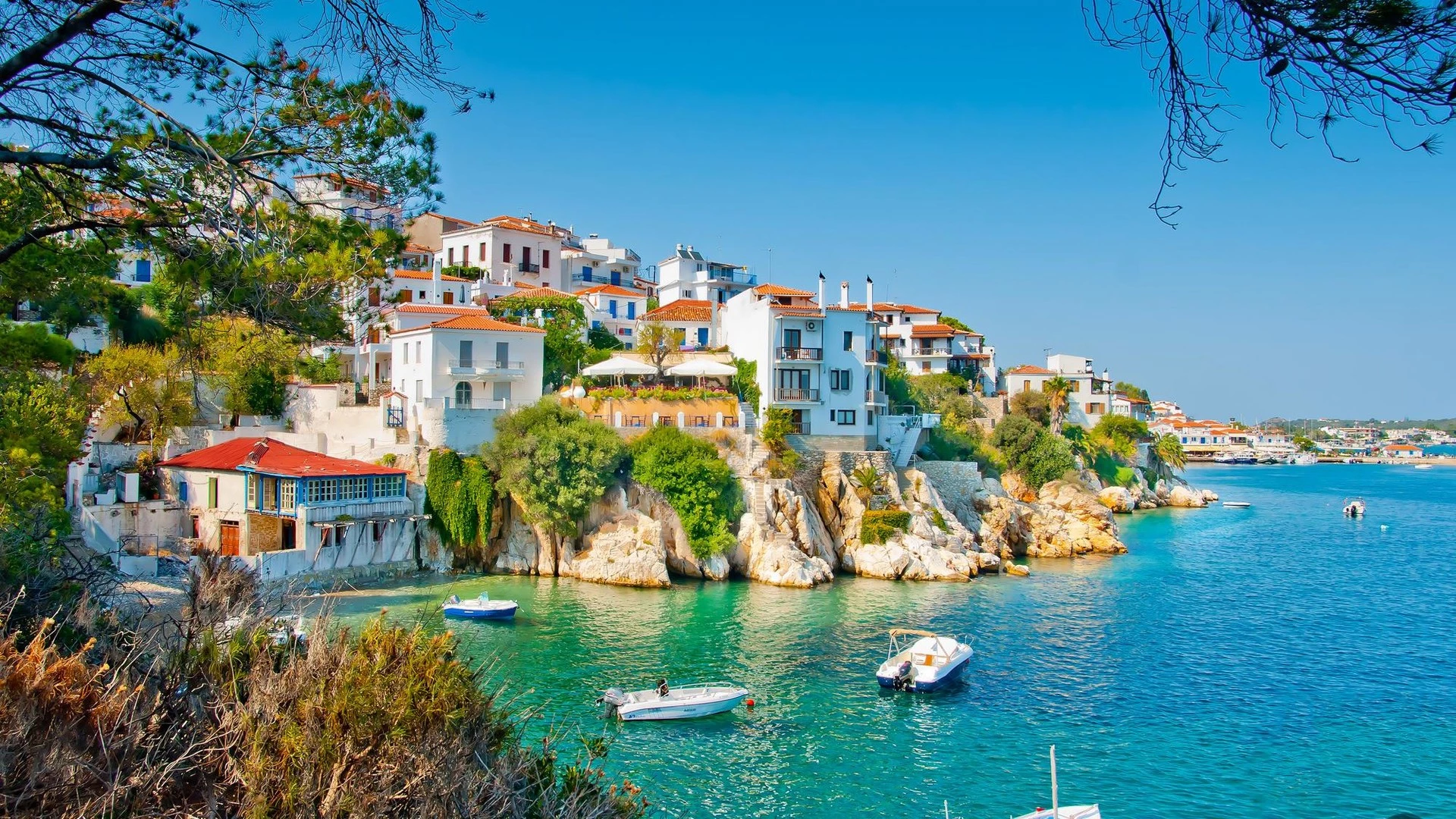 trip inroduction image