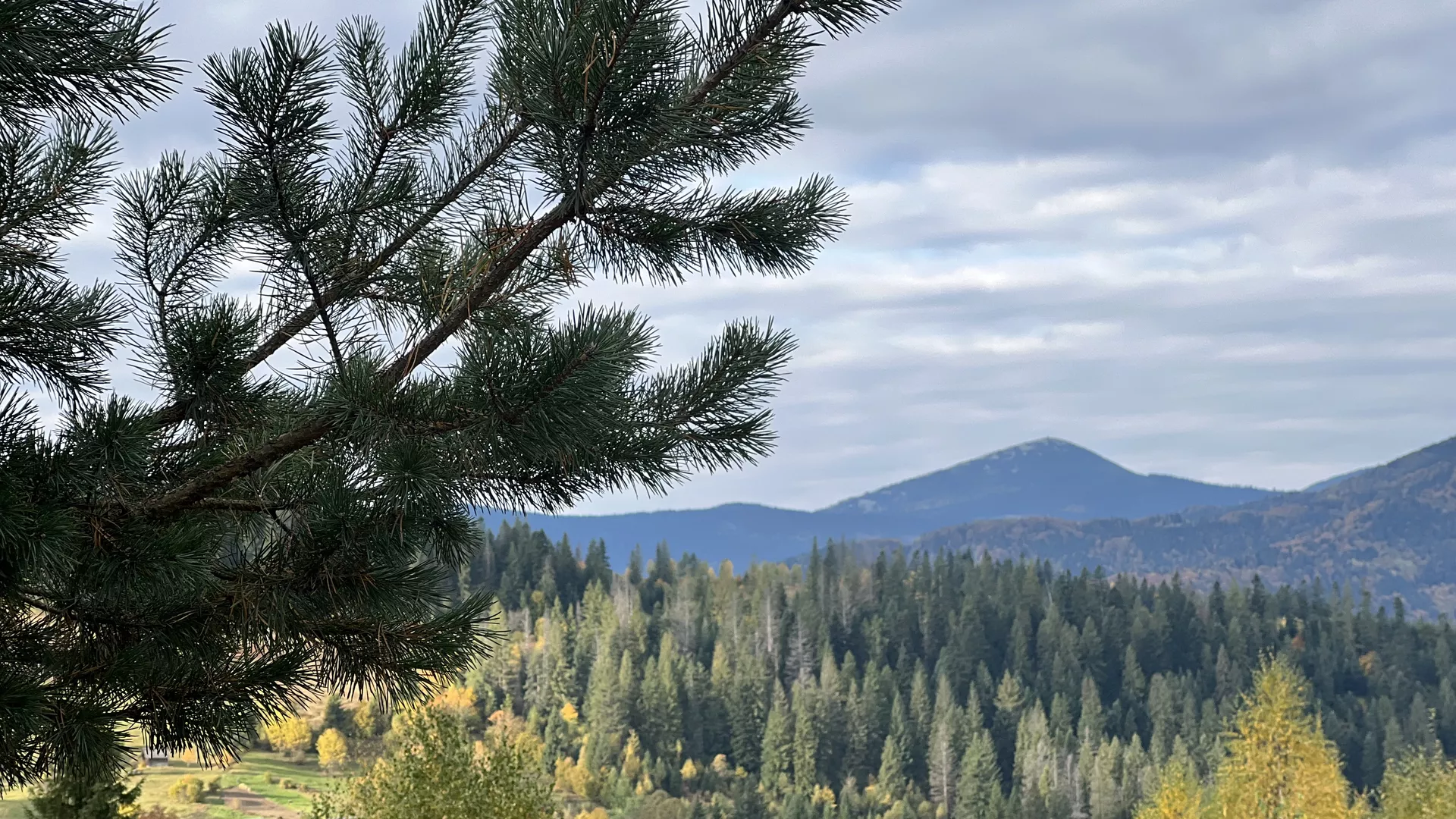 trip inroduction image