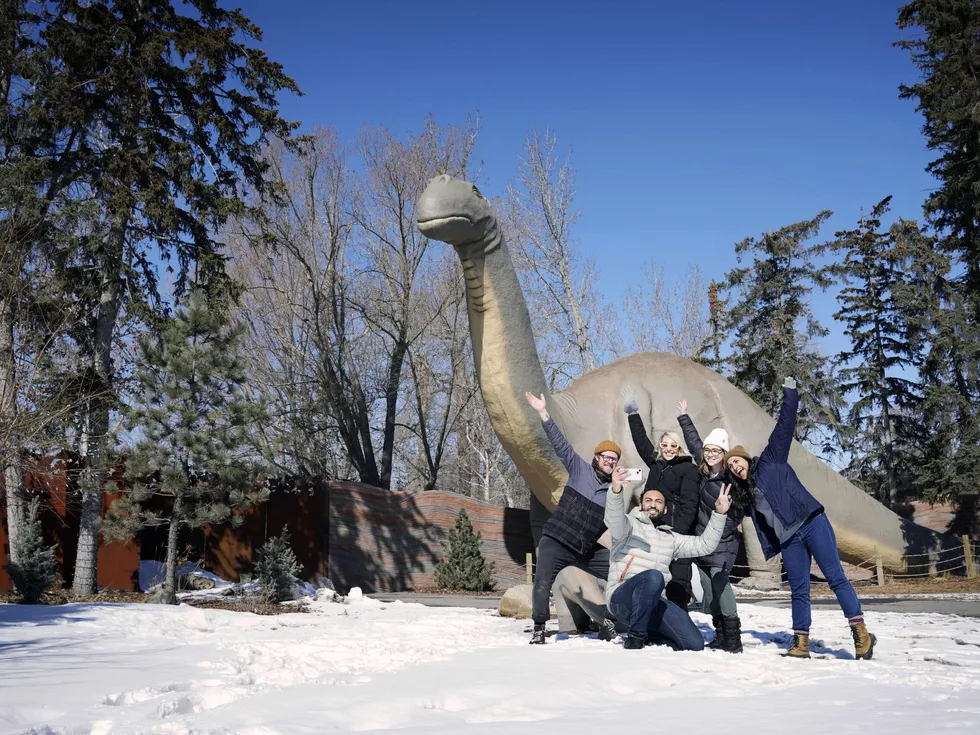 travel program image