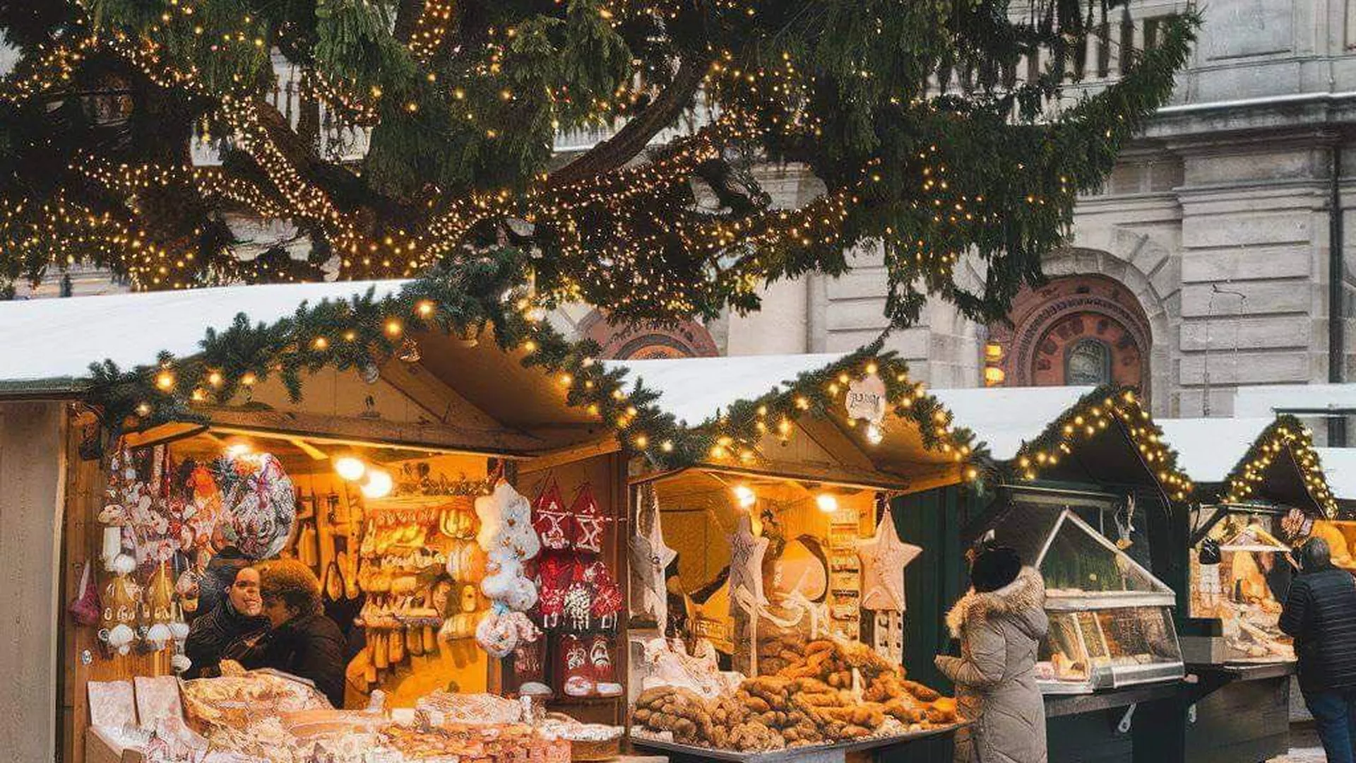 trip inroduction image