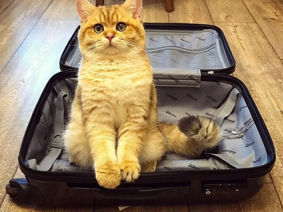 travel program image