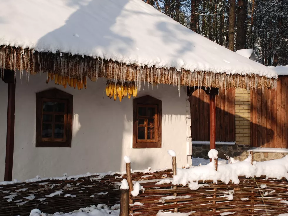 travel program image