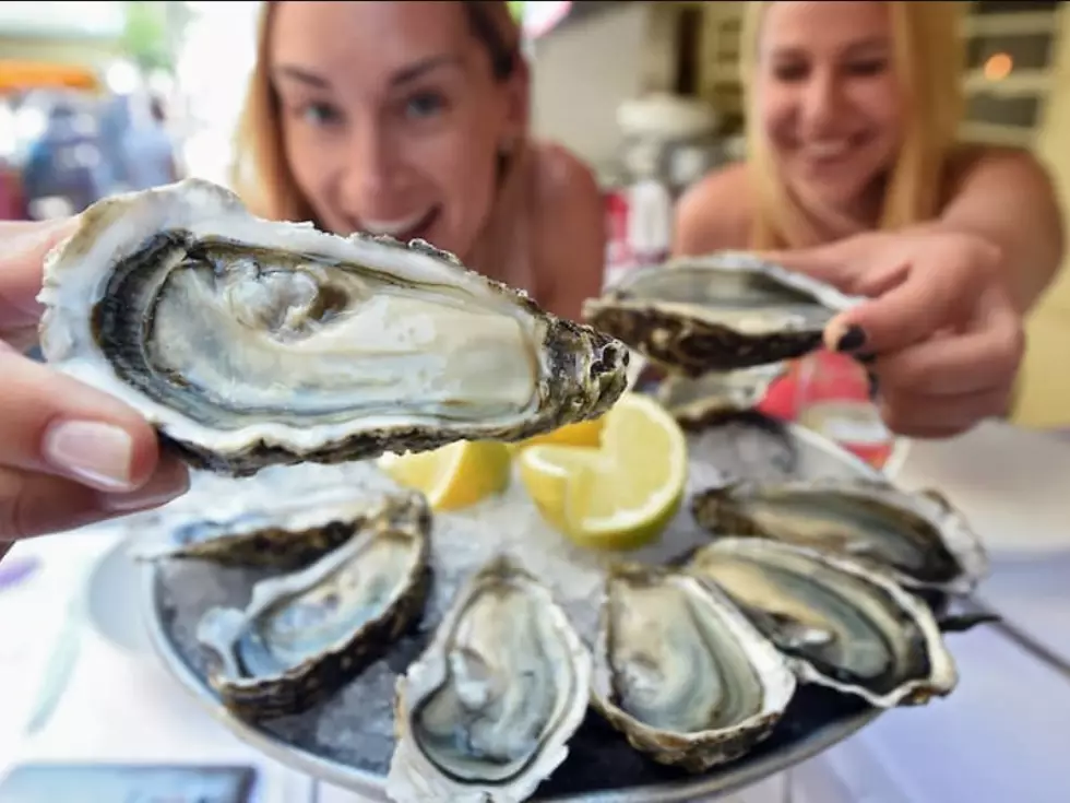 travel program image