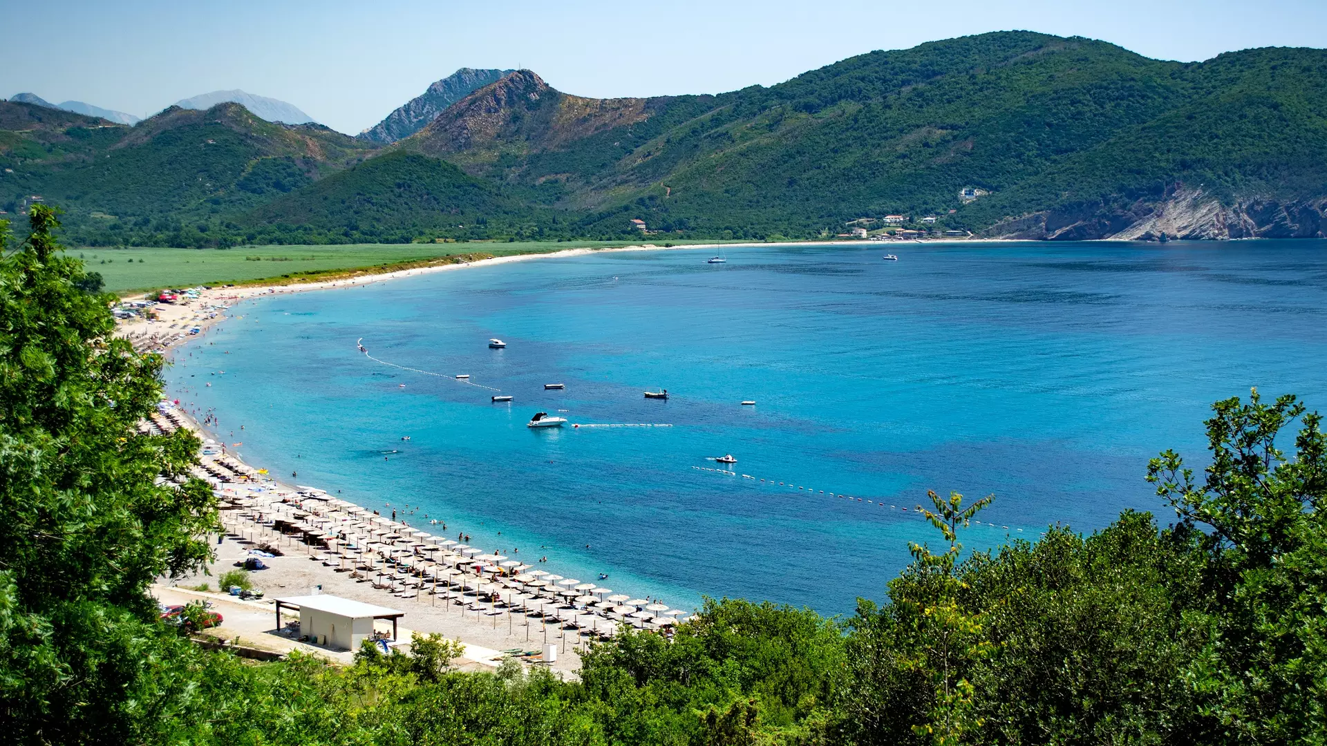 trip inroduction image