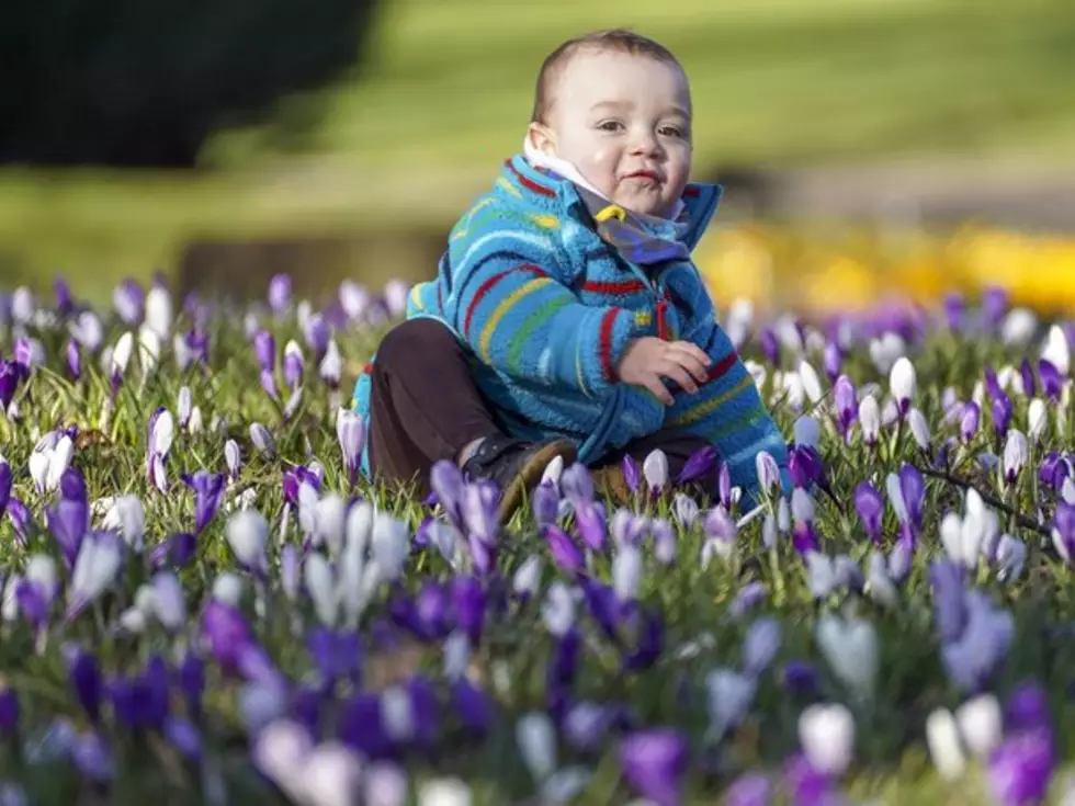 travel program image