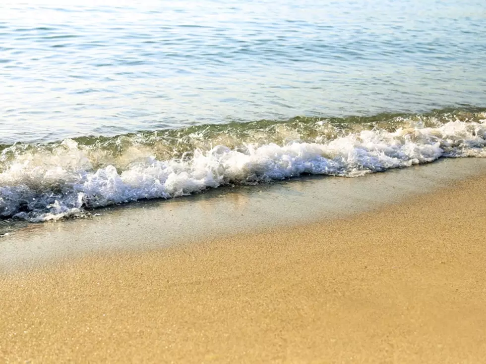 travel program image