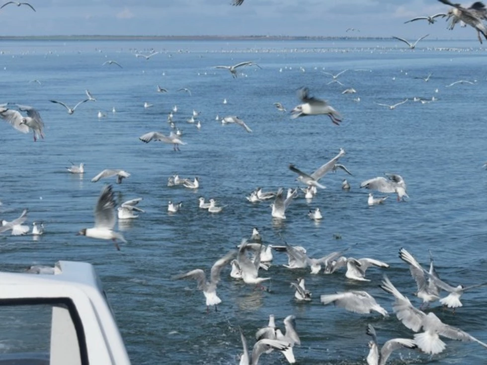 travel program image