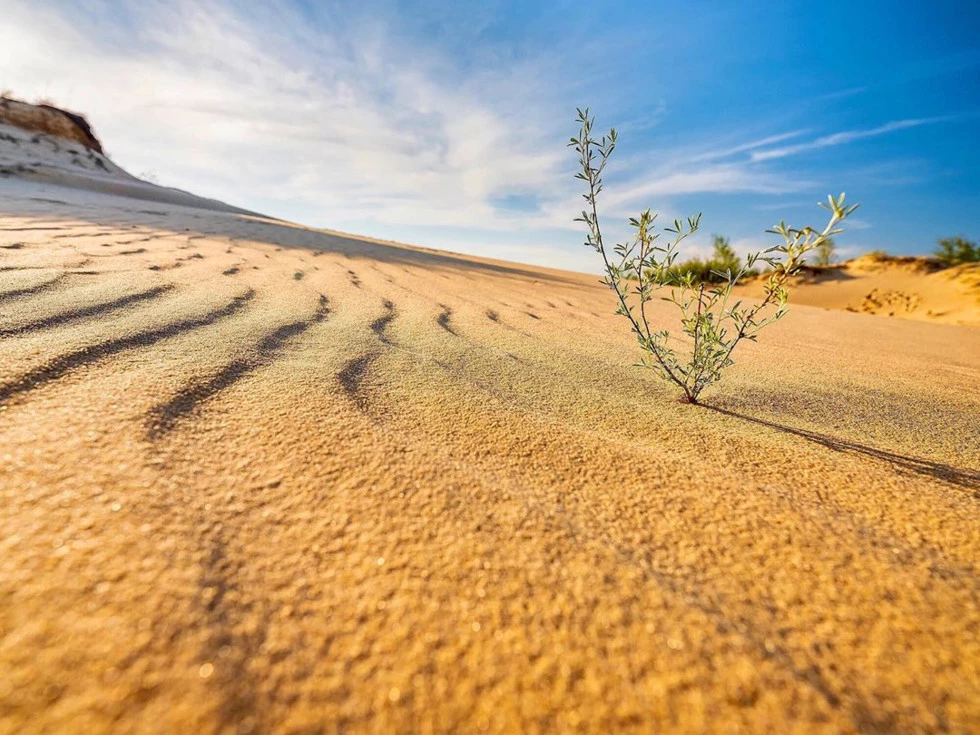 travel program image