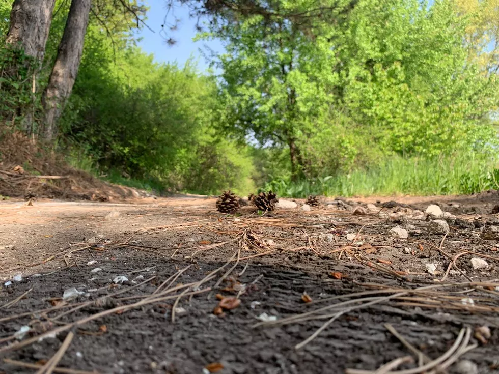 travel program image