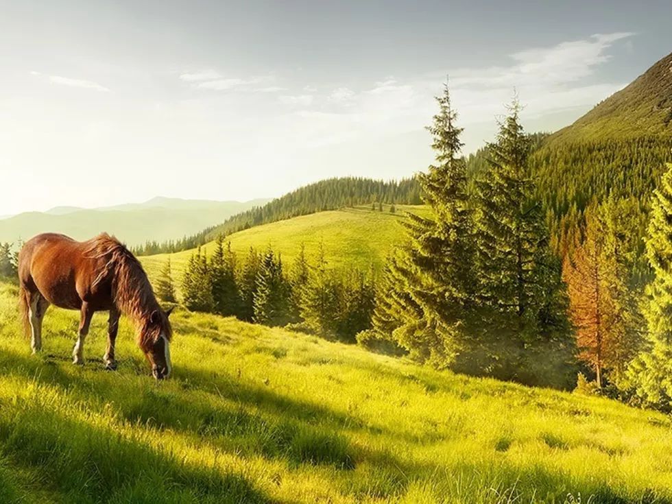 travel program image