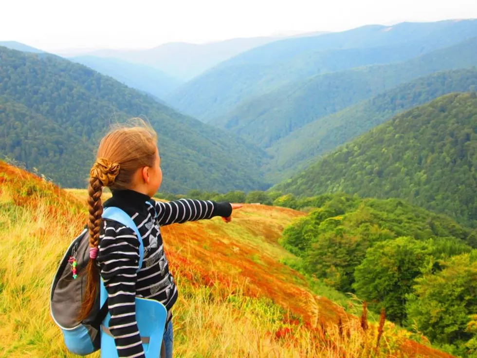 travel program image