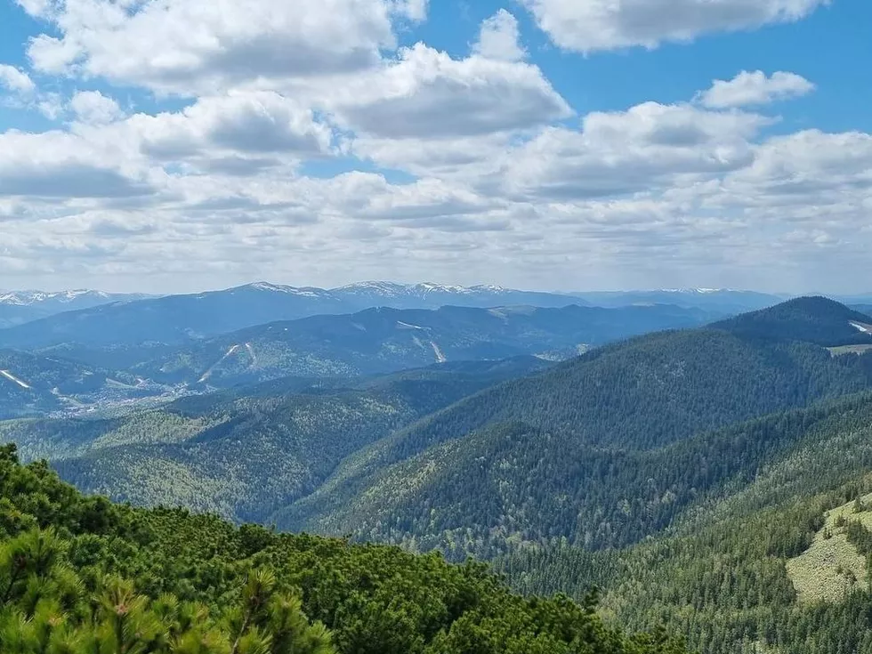 travel program image