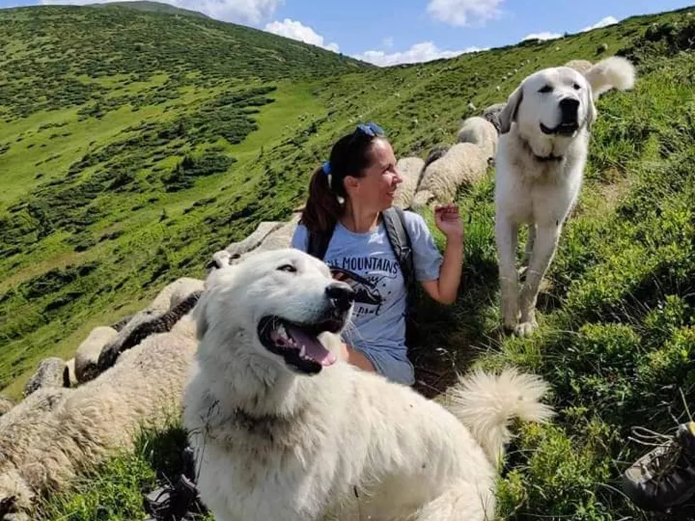 travel program image