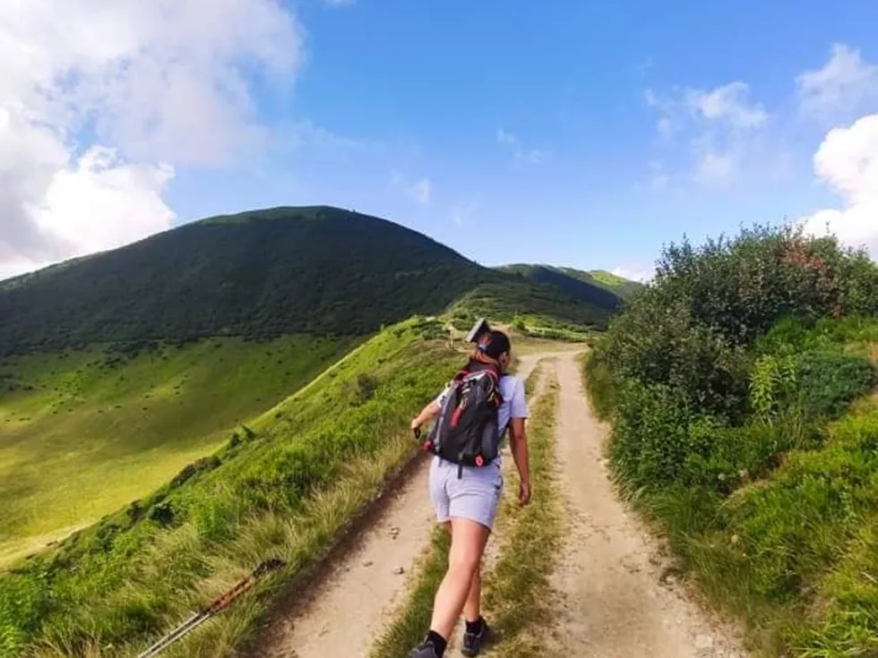 travel program image