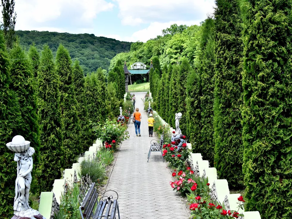 travel program image