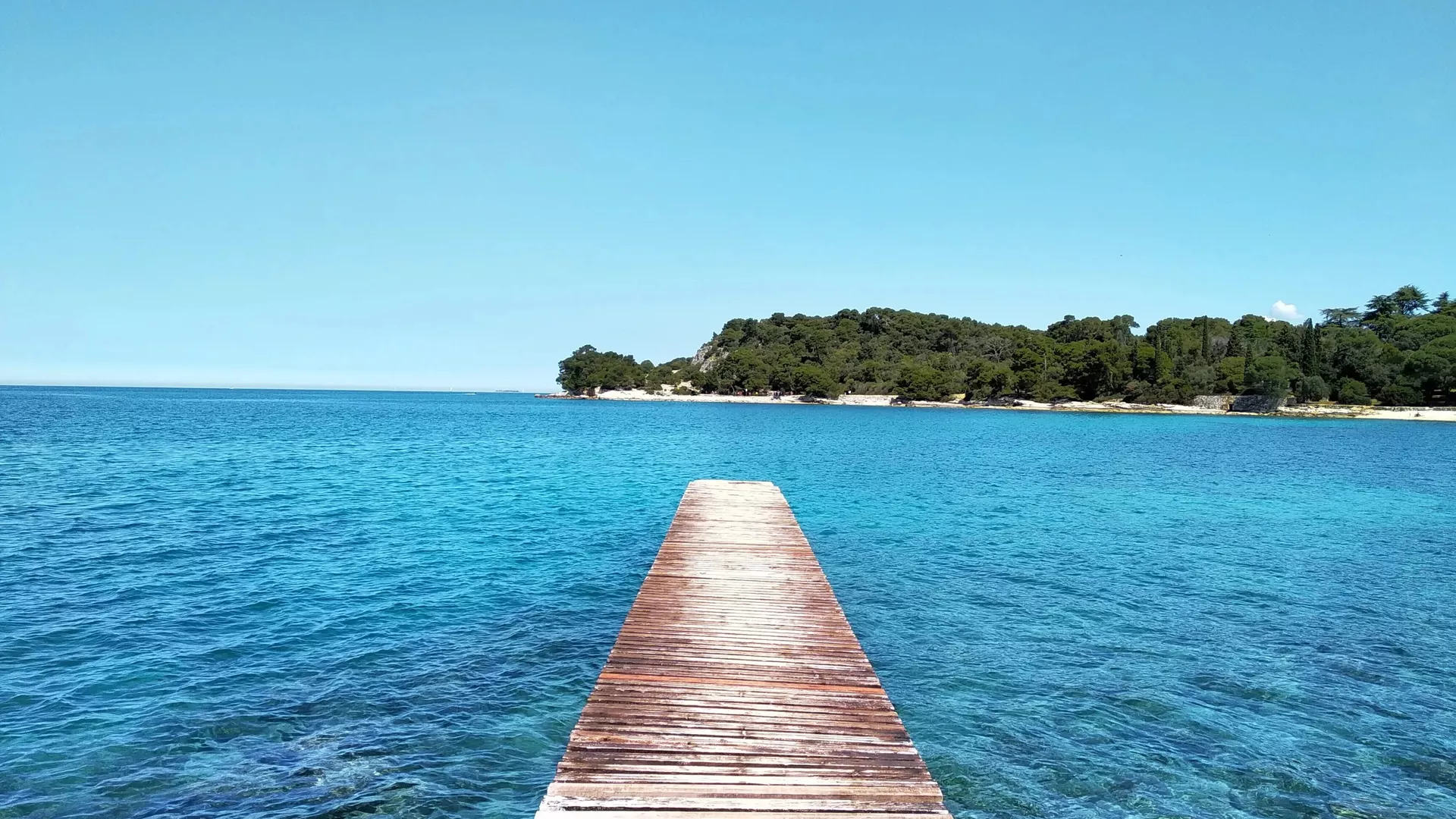 trip inroduction image