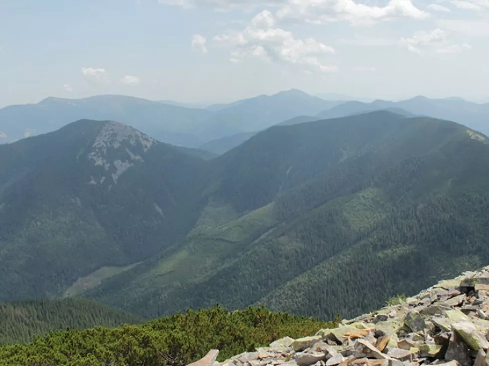 travel program image