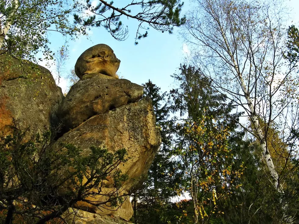 travel program image