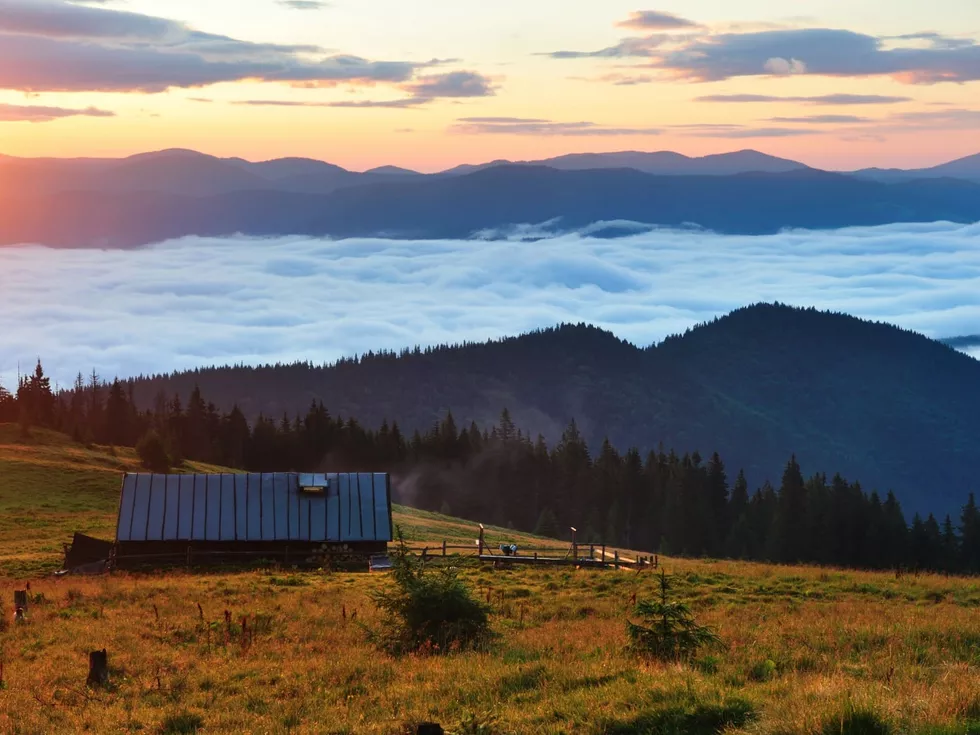 travel program image