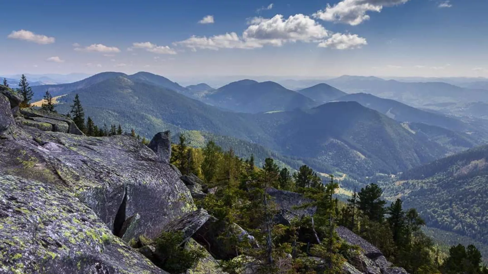 trip inroduction image