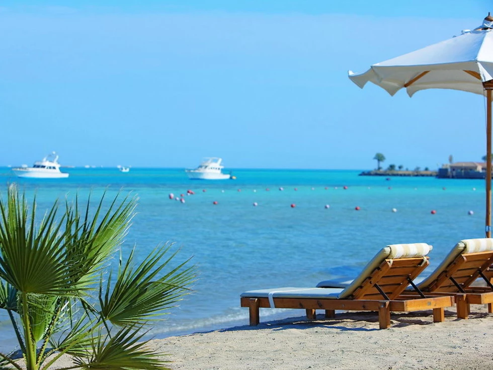 travel program image