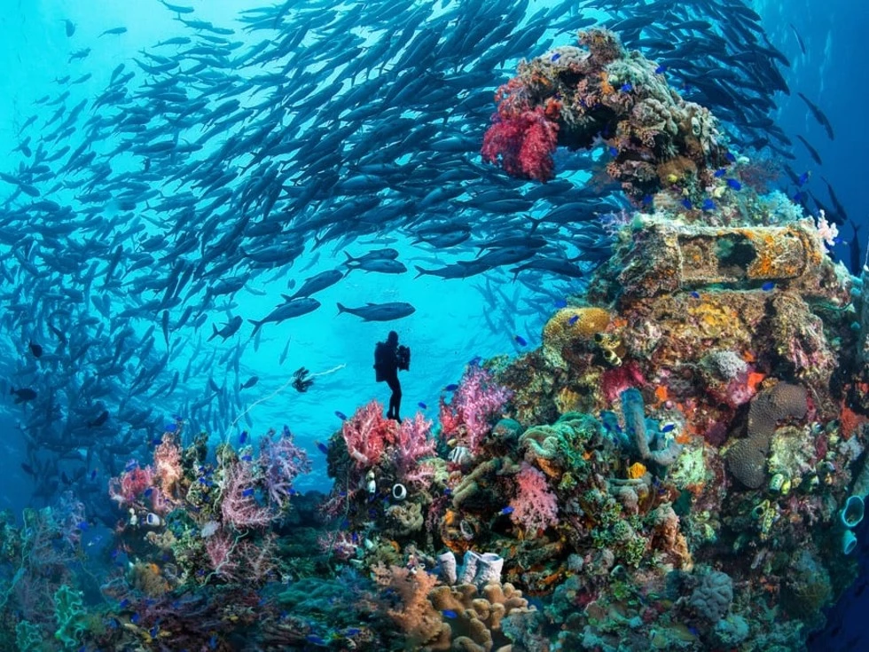 travel program image