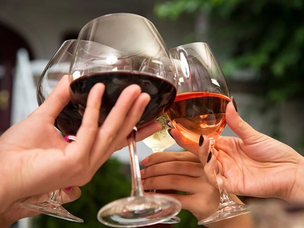 travel program image