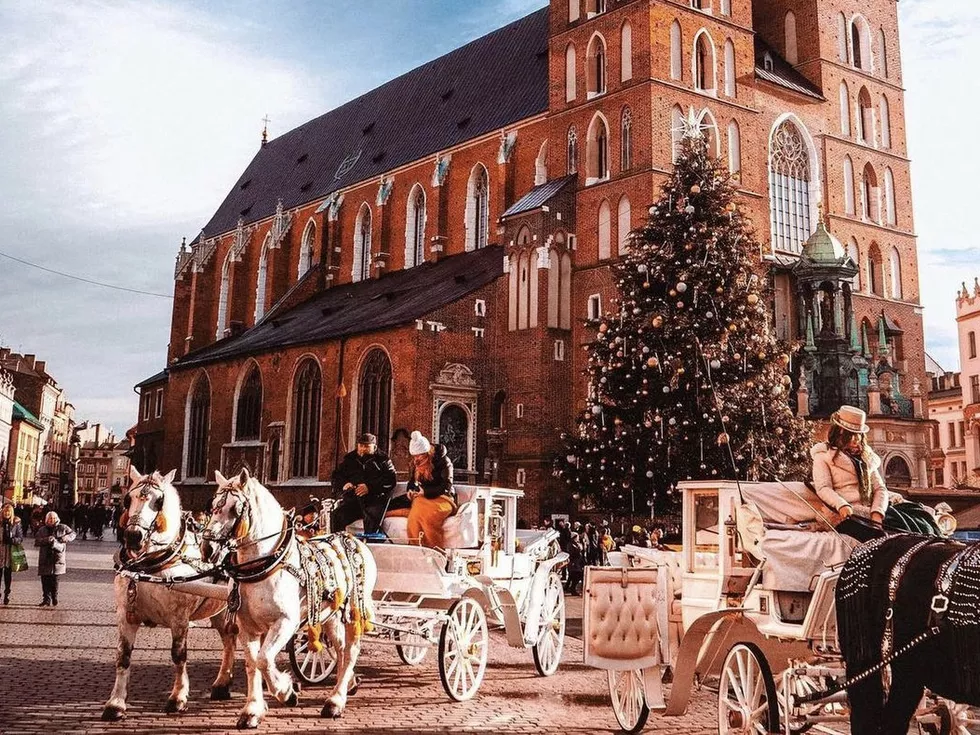 travel program image