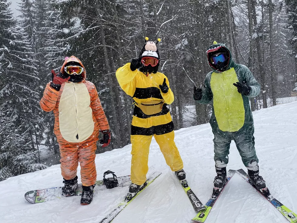 travel program image