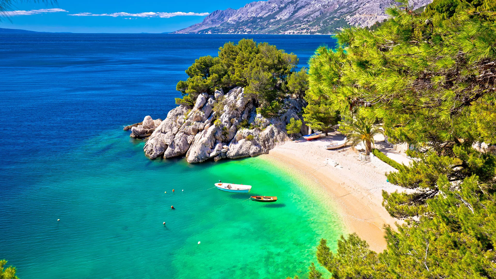 trip inroduction image