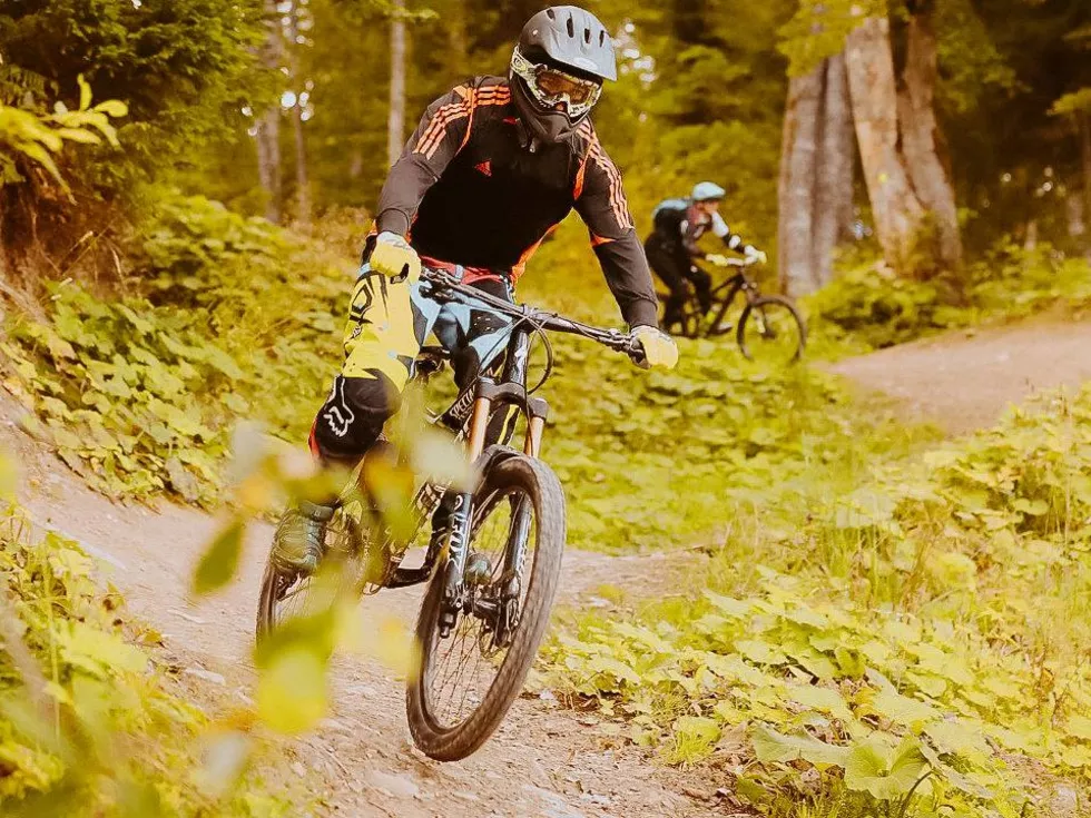 travel program image