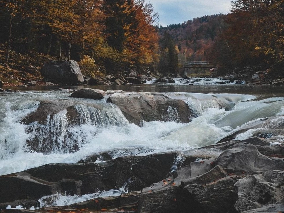 travel program image