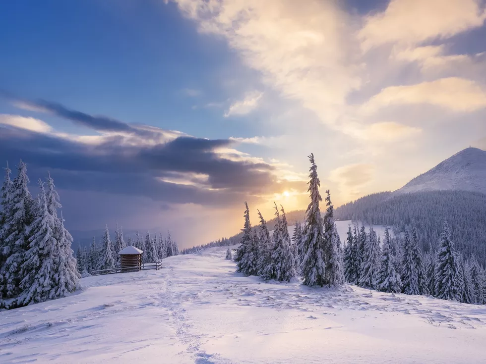 travel program image