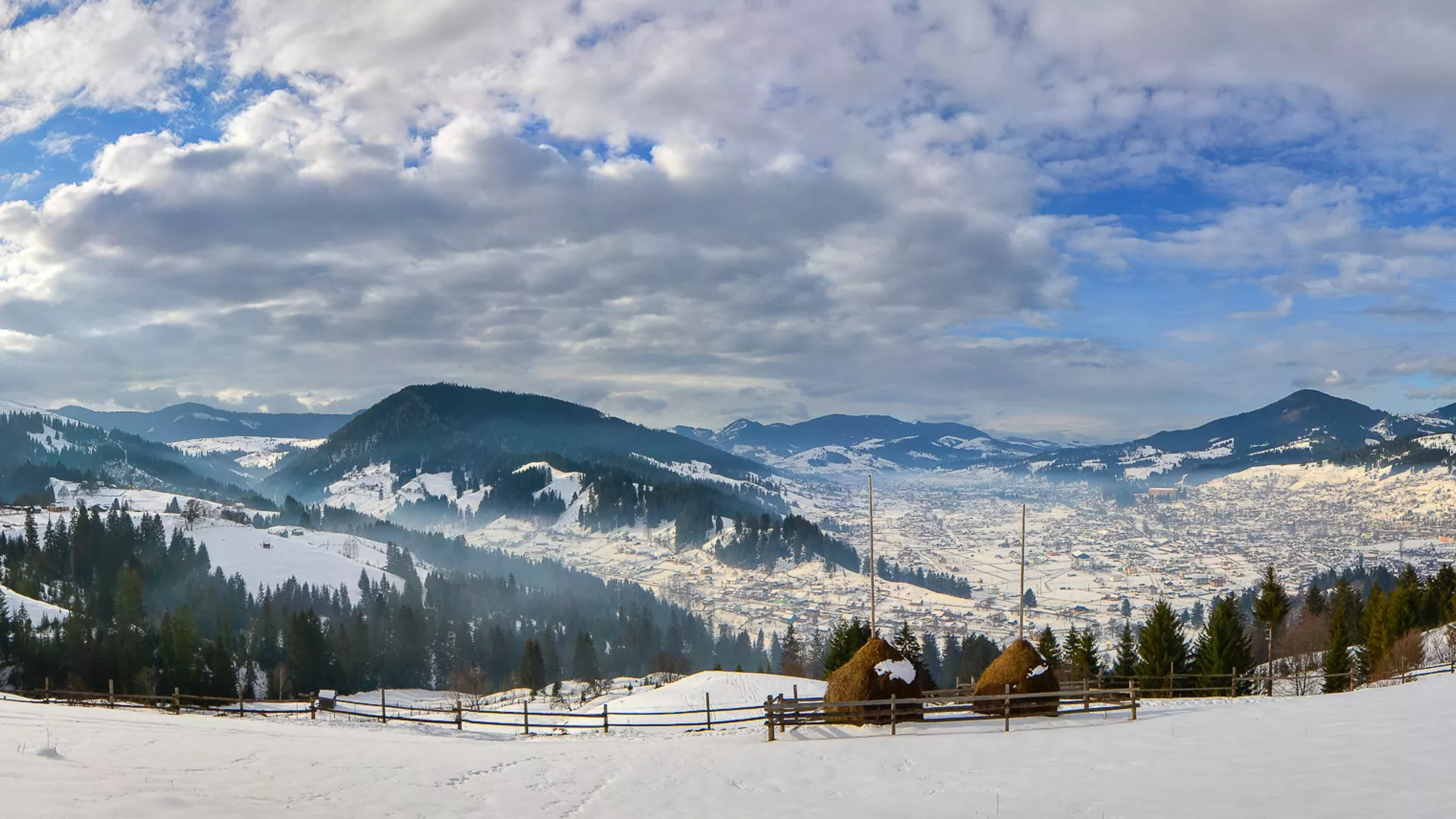 trip inroduction image