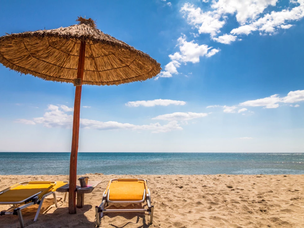 travel program image