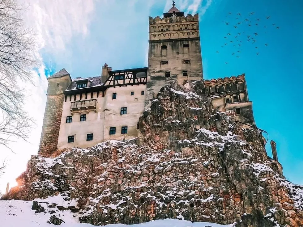 travel program image