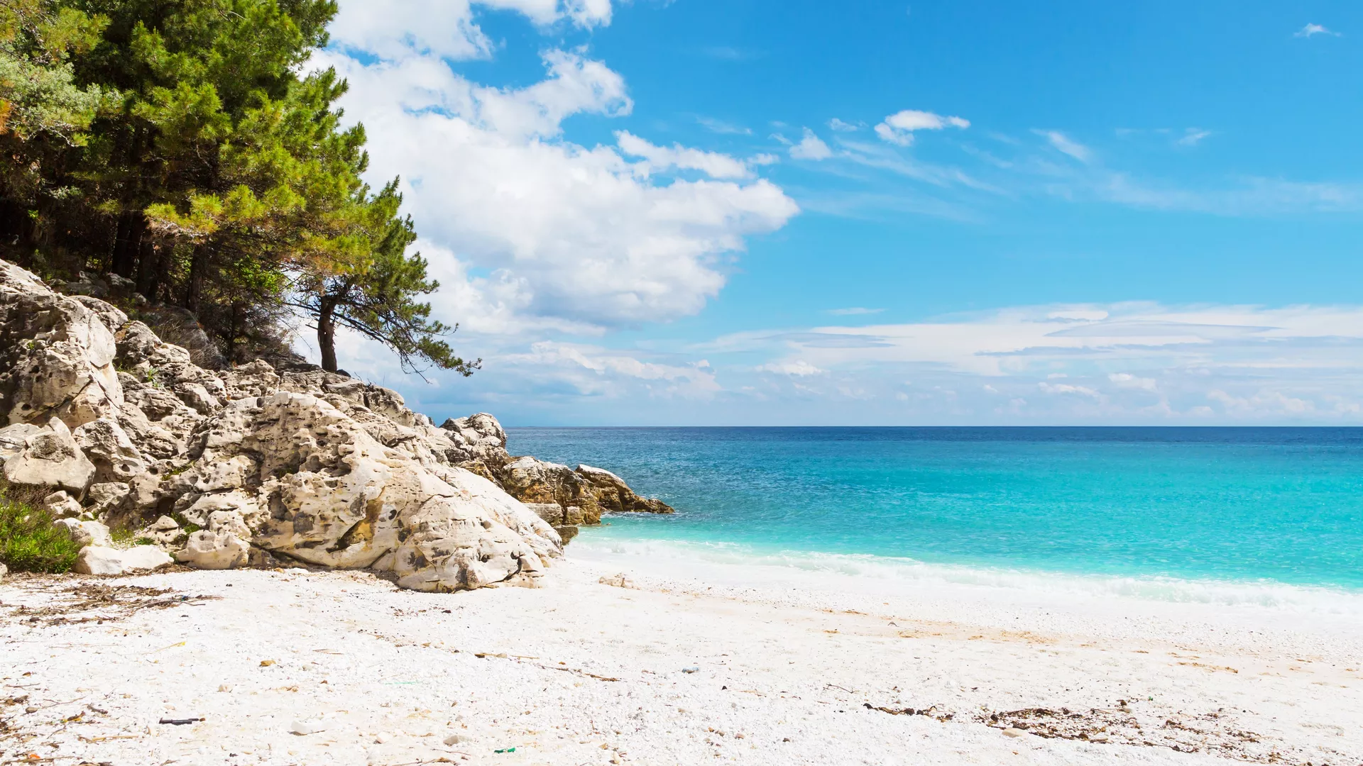 trip inroduction image