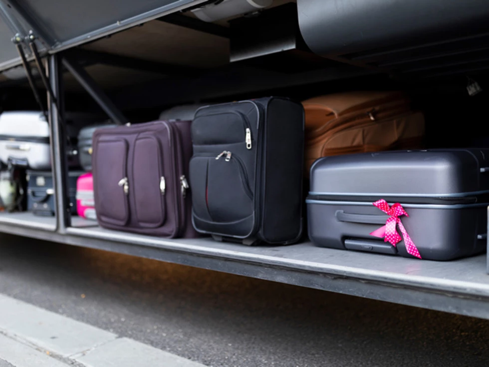 travel program image