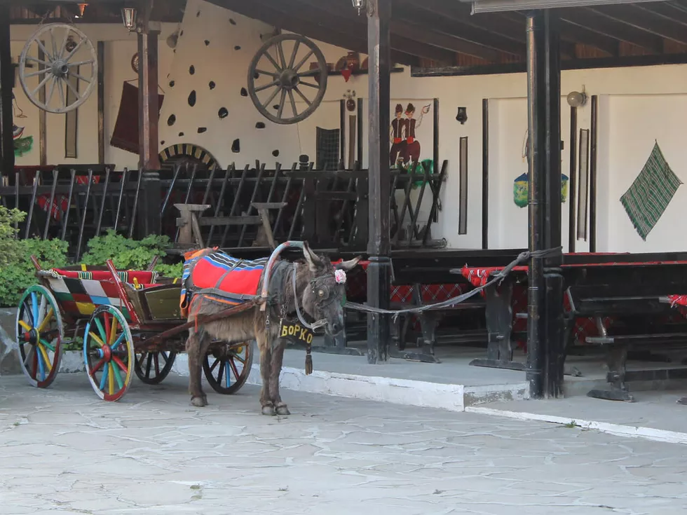 travel program image