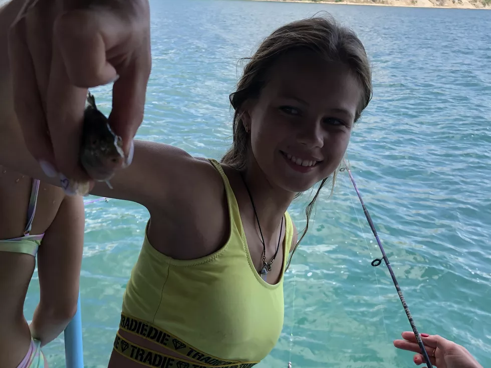 travel program image