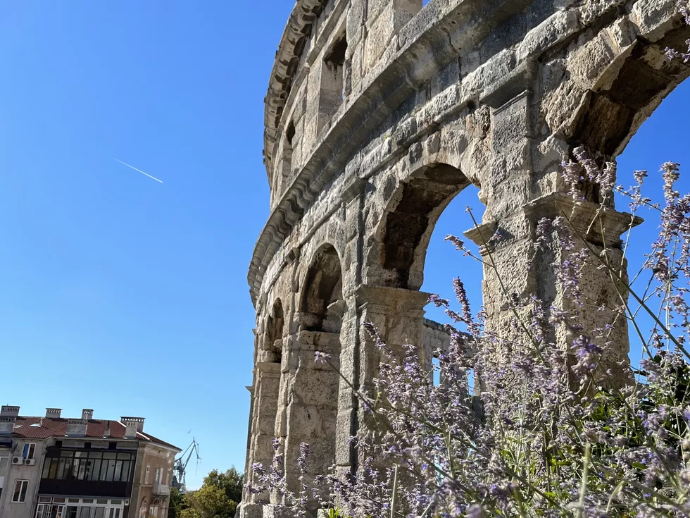 travel program image