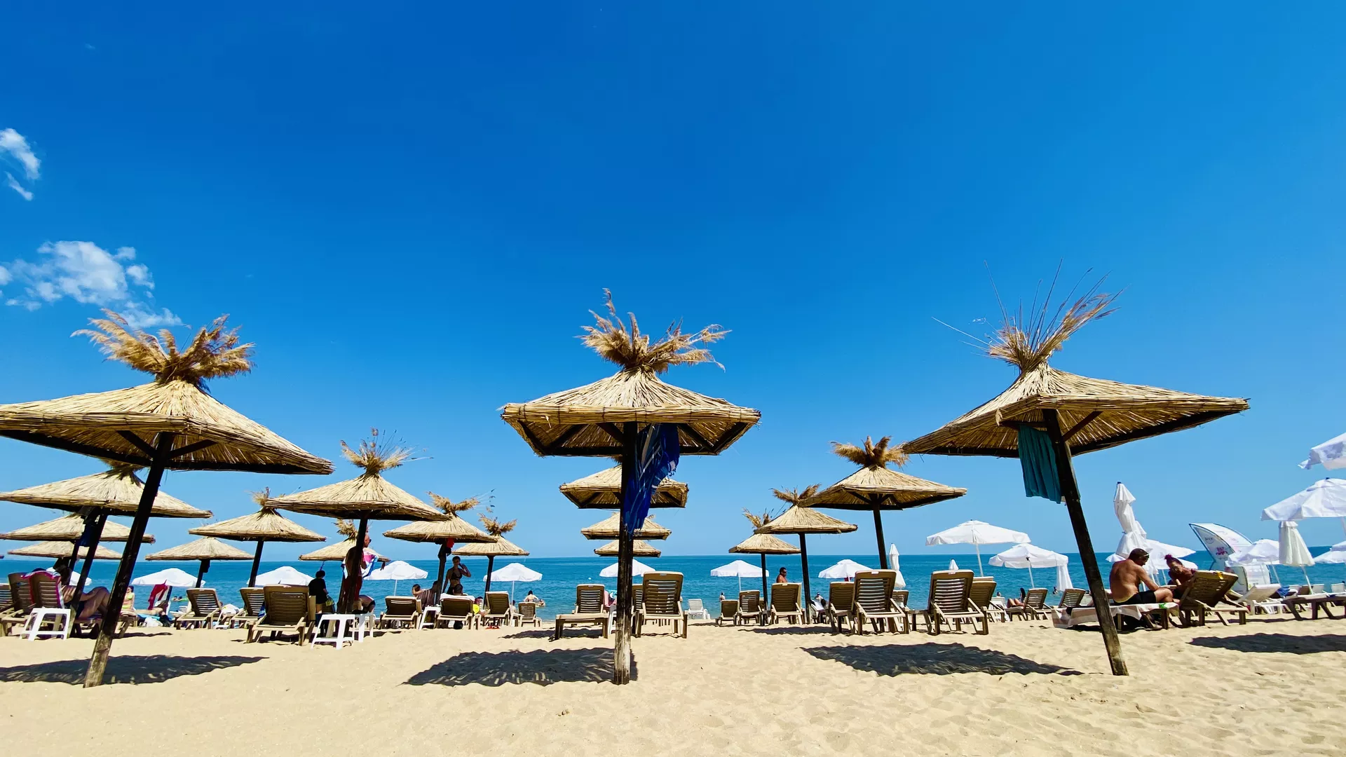 trip inroduction image