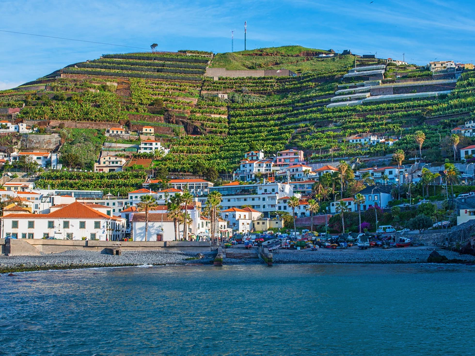 travel program image