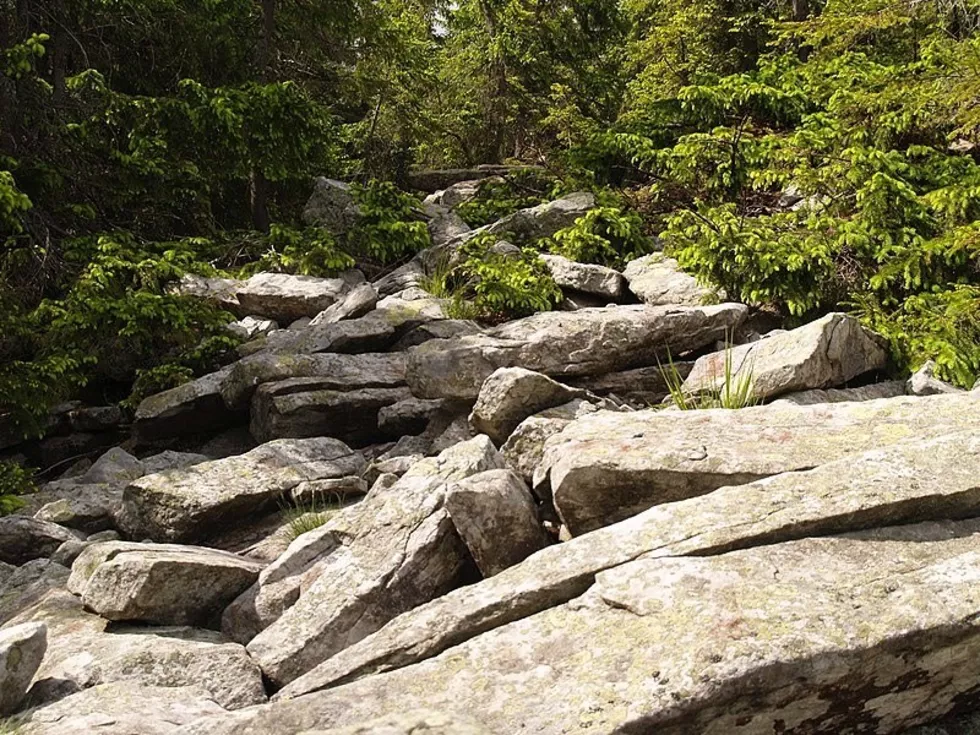 travel program image