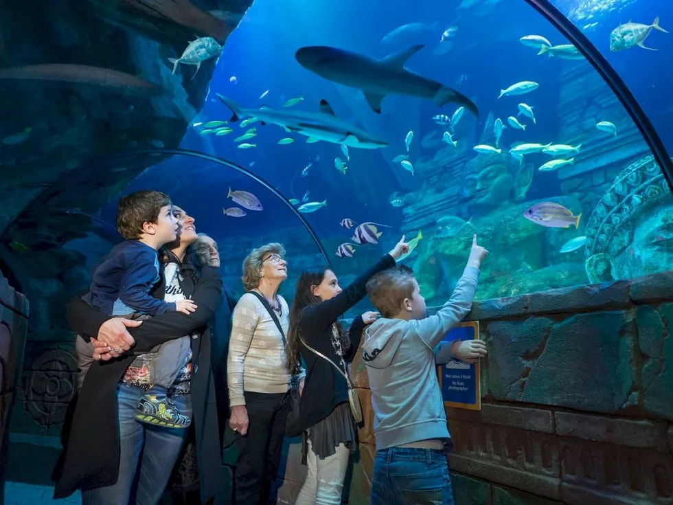 travel program image