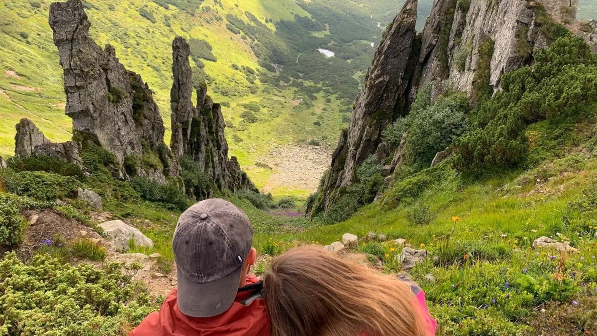 trip inroduction image