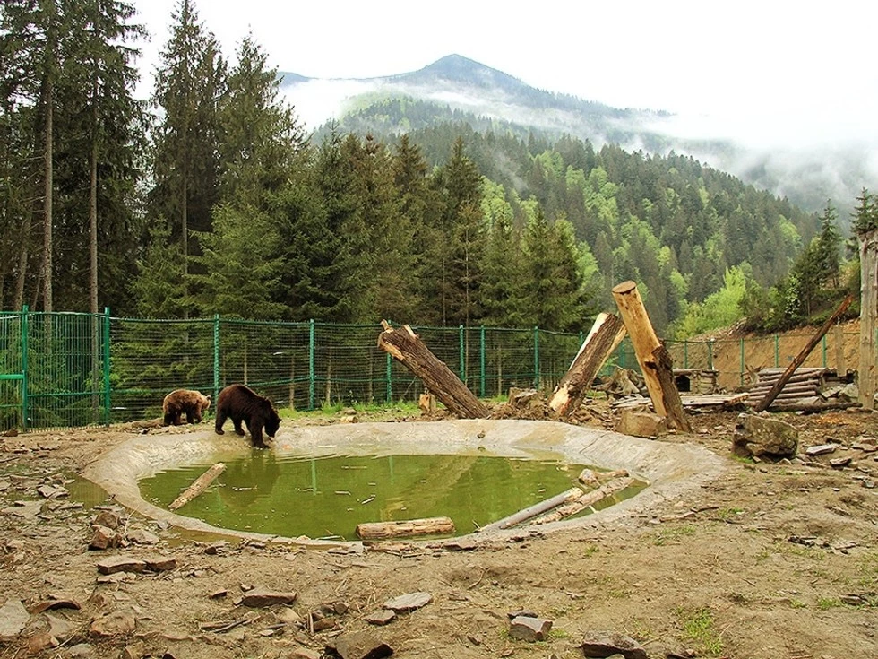 travel program image