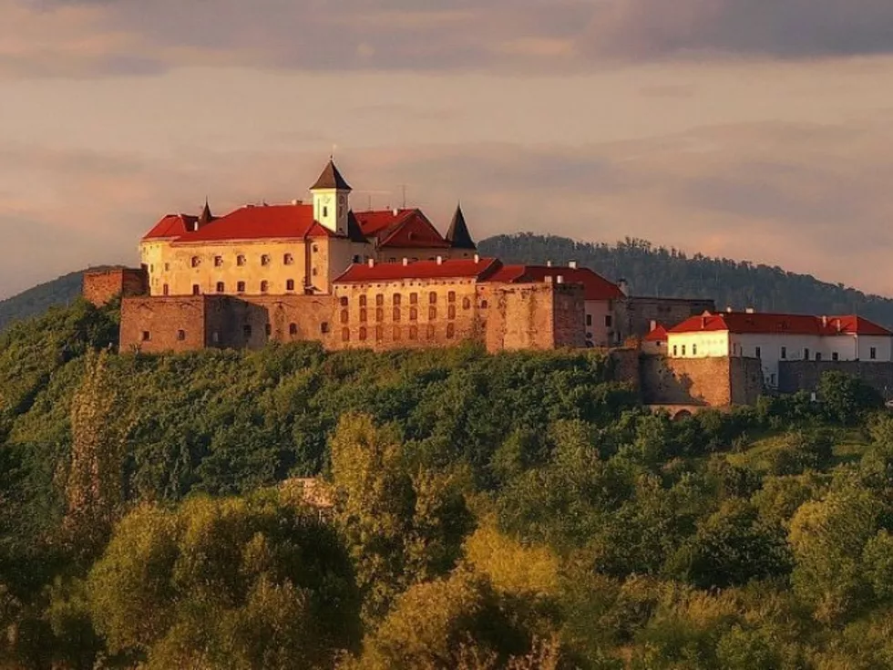 travel program image